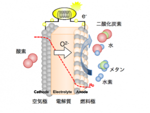 SOFC_cell.001