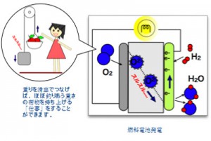 sofc-reaction